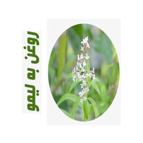 روغن ماساژ به لیمو