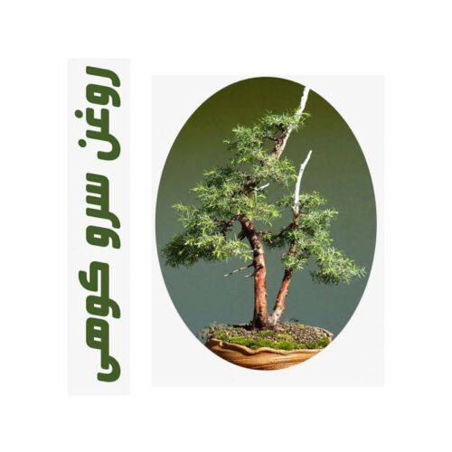 روغن ماساژ سرو کوهی