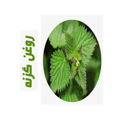 روغن ماساژ گزنه