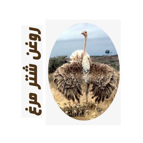 روغن ماساژ شترمرغ