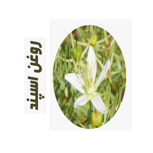 روغن ماساژ اسپند