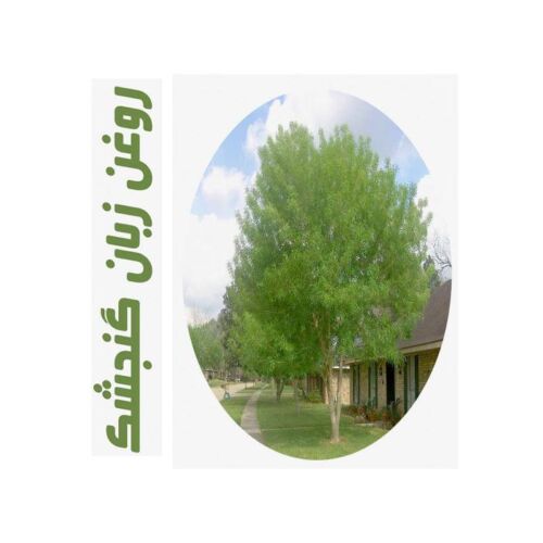 روغن ماساژ زبان گنجشک