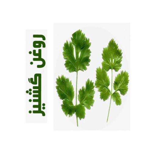 روغن ماساژ گشنیز