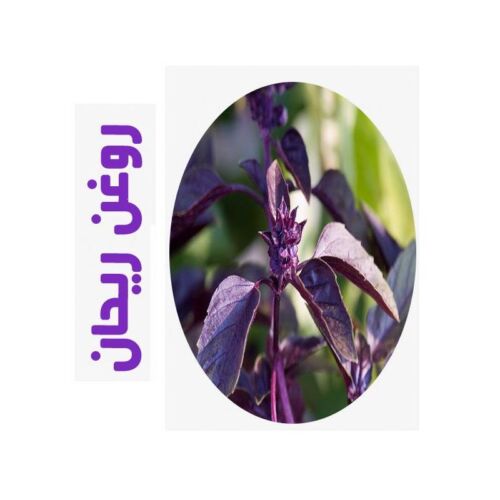 روغن ماساژ ریحان