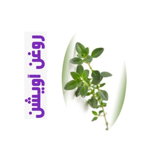 روغن ماساژ آویشن