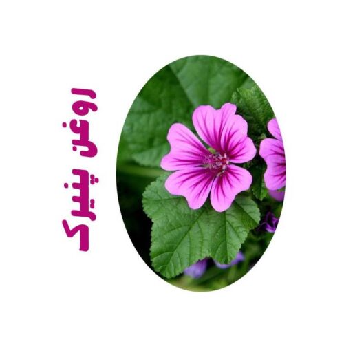 روغن ماساژ پنیرک