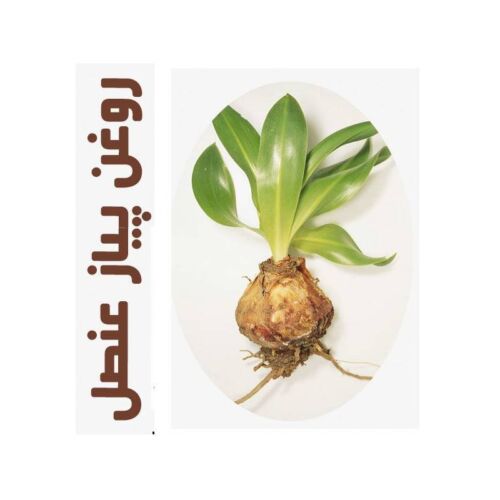 روغن ماساژ پیاز عنصل