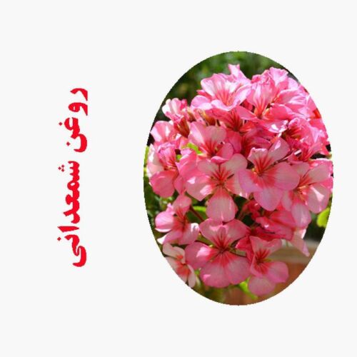 روغن ماساژ شمعدانی