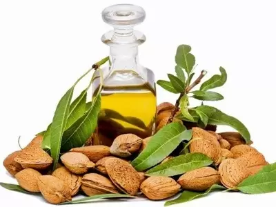 روغن ماساژ خوب از کجا بخریم؟