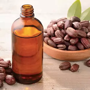 روغن جوجوبا بهترین روغن برای ماساژ صورت