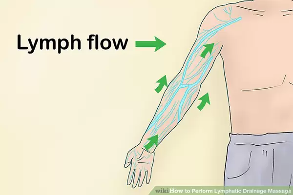 ماساز تخلیه لنفی - جریان لنفاوی