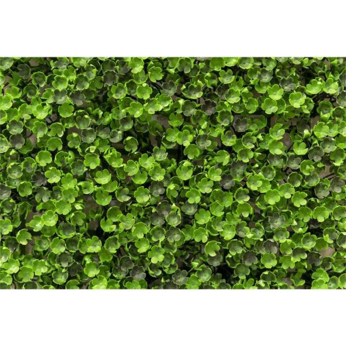 دیوار سبز مصنوعی شکوفه Mana Chaman