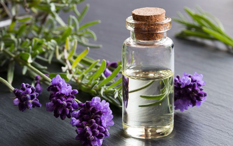 bottle of lavender essential oil with fresh royalty free image 920637186 1547242978