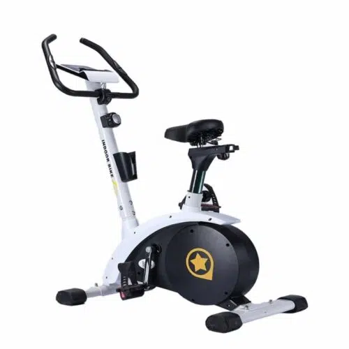 دوچرخه ثابت ایستاده لیدر اسپرت Leader Sport 6260