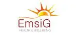 logo Emsig