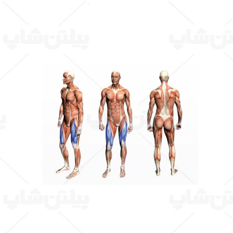 دستگاه جلو پا آلجا اسپرت ALJA SPORT GS312 25 دستگاه جلو پا آلجا اسپرت ALJA SPORT GS312 - تصویر 3