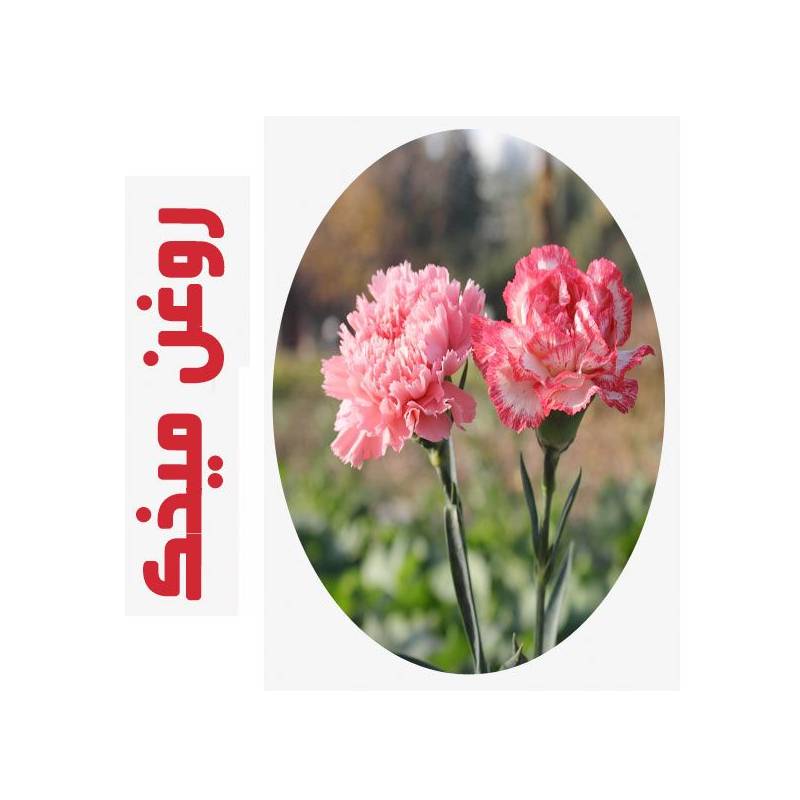 روغن ماساژ میخک 20 روغن ماساژ میخک