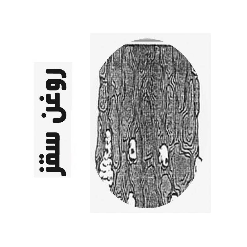 روغن ماساژ سقز