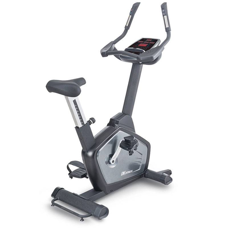 دوچرخه ثابت ایستاده دی کی سیتی مدل DK City B600.1