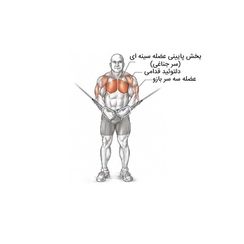دستگاه کراس جمع DHZ Fitness سری EVOST 24 دستگاه کراس جمع DHZ Fitness سری EVOST - تصویر 5