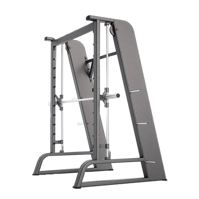 دستگاه اسمیت DHZ Fitness سری EVOST 22 دستگاه اسمیت DHZ Fitness سری EVOST - تصویر 3