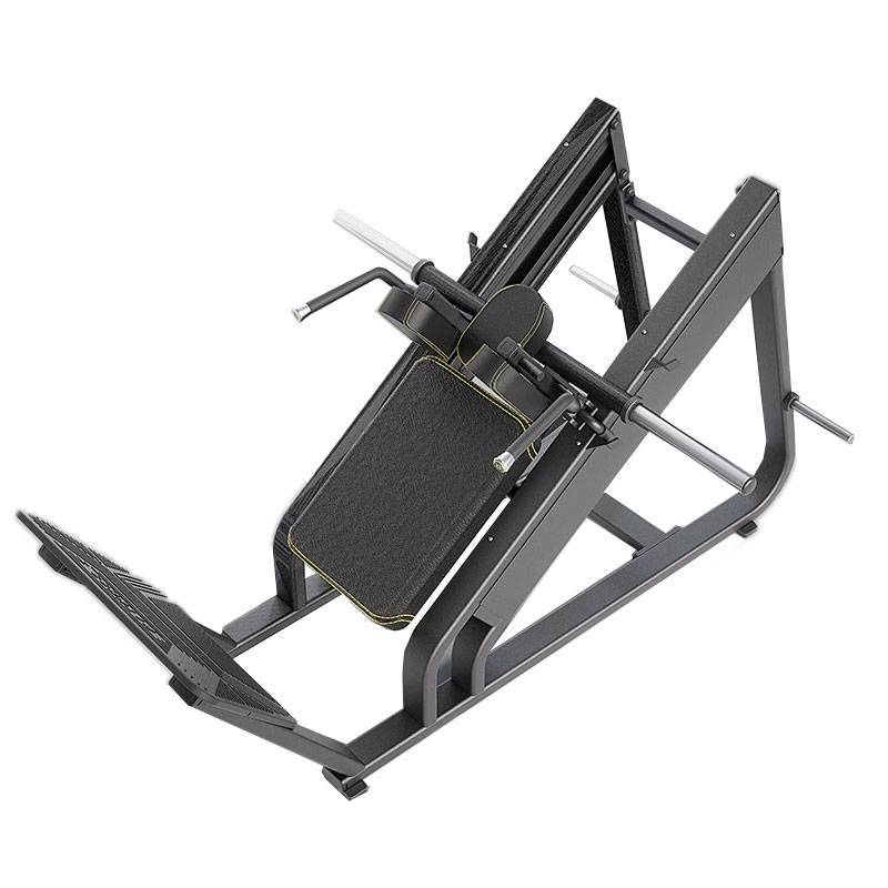 دستگاه هاگ پا DHZ Fitness سری EVOST