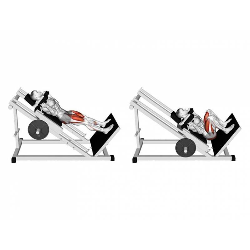 دستگاه هاگ پا DHZ Fitness سری EVOST 25 دستگاه هاگ پا DHZ Fitness سری EVOST - تصویر 6