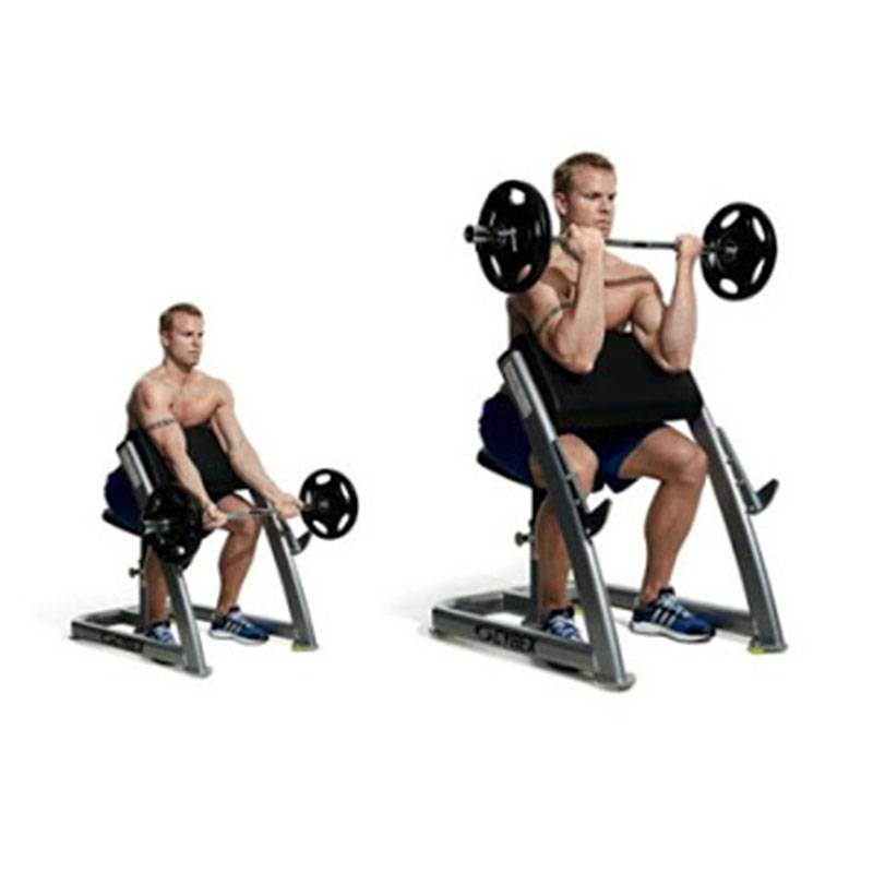 میز جلو بازو لاری پیکره Peikareh Camber Curl 22 میز جلو بازو لاری پیکره Peikareh Camber Curl - تصویر 3