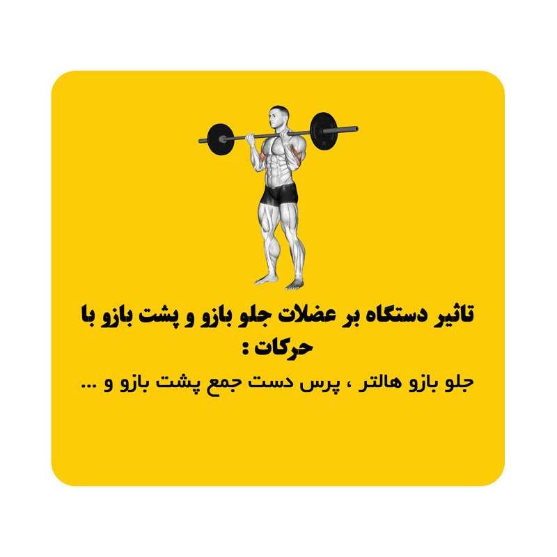 دستگاه رک اسکات هیرو Hero half rack 22 دستگاه رک اسکات هیرو Hero half rack - تصویر 3