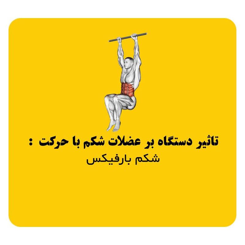 دستگاه رک اسکات هیرو Hero half rack 23 دستگاه رک اسکات هیرو Hero half rack - تصویر 4