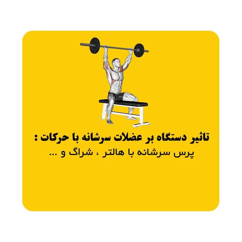 دستگاه رک اسکات هیرو Hero half rack 24 دستگاه رک اسکات هیرو Hero half rack - تصویر 5