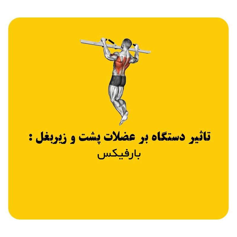دستگاه رک اسکات هیرو Hero half rack 25 دستگاه رک اسکات هیرو Hero half rack - تصویر 6