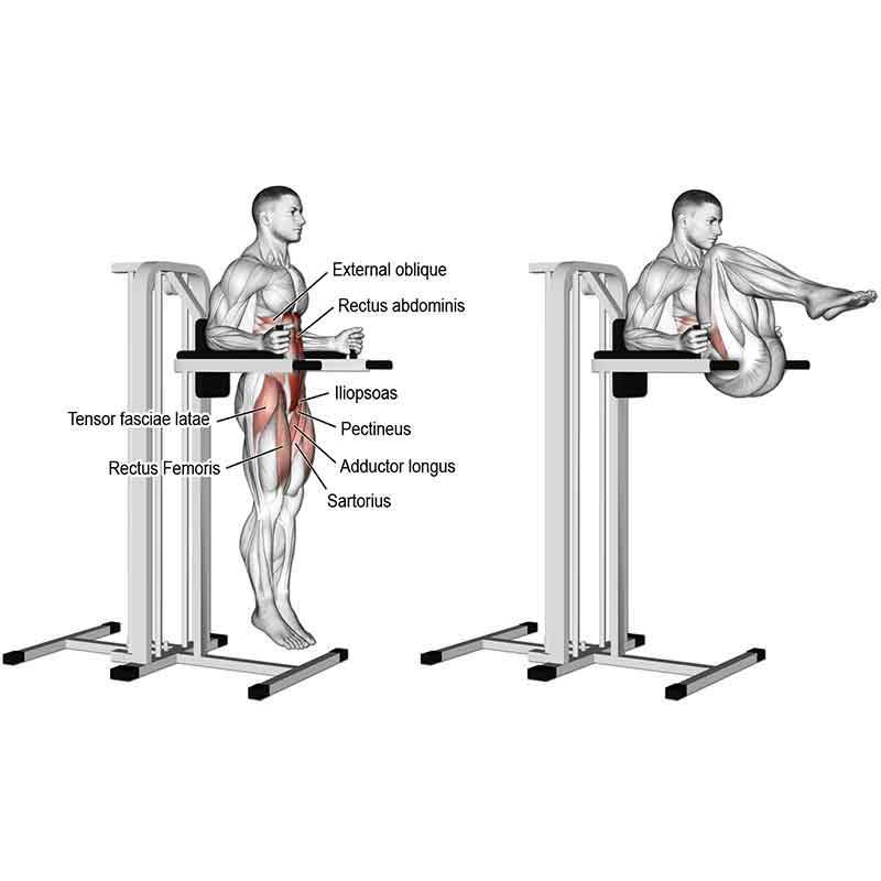 شکم خلبانی DHZ Fitness سری EVOST 25 شکم خلبانی DHZ Fitness سری EVOST - تصویر 6