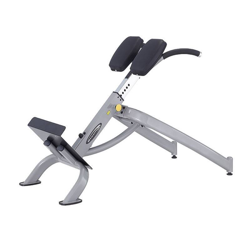 نیمکت فیله کمر استیل فلکس 45 درجه Steel Flex NBE