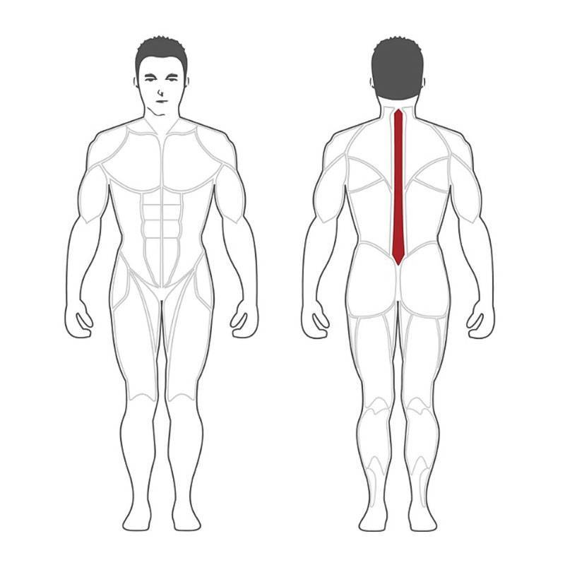 نیمکت فیله کمر استیل فلکس 45 درجه Steel Flex NBE 25 نیمکت فیله کمر استیل فلکس 45 درجه Steel Flex NBE - تصویر 3