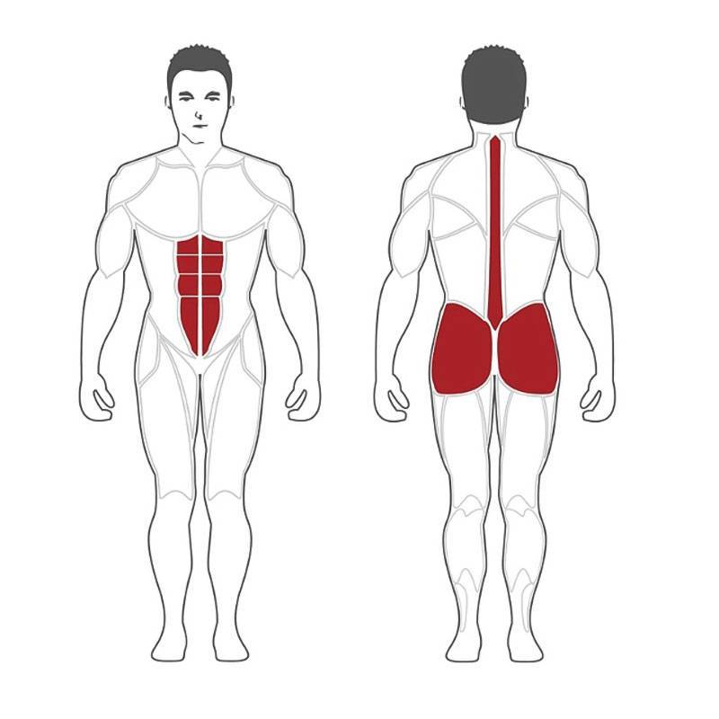 نیمکت فیله کمر استیل فلکس 90 درجه Steel Flex NRCH 6 نیمکت فیله کمر استیل فلکس 90 درجه Steel Flex NRCH - تصویر 3