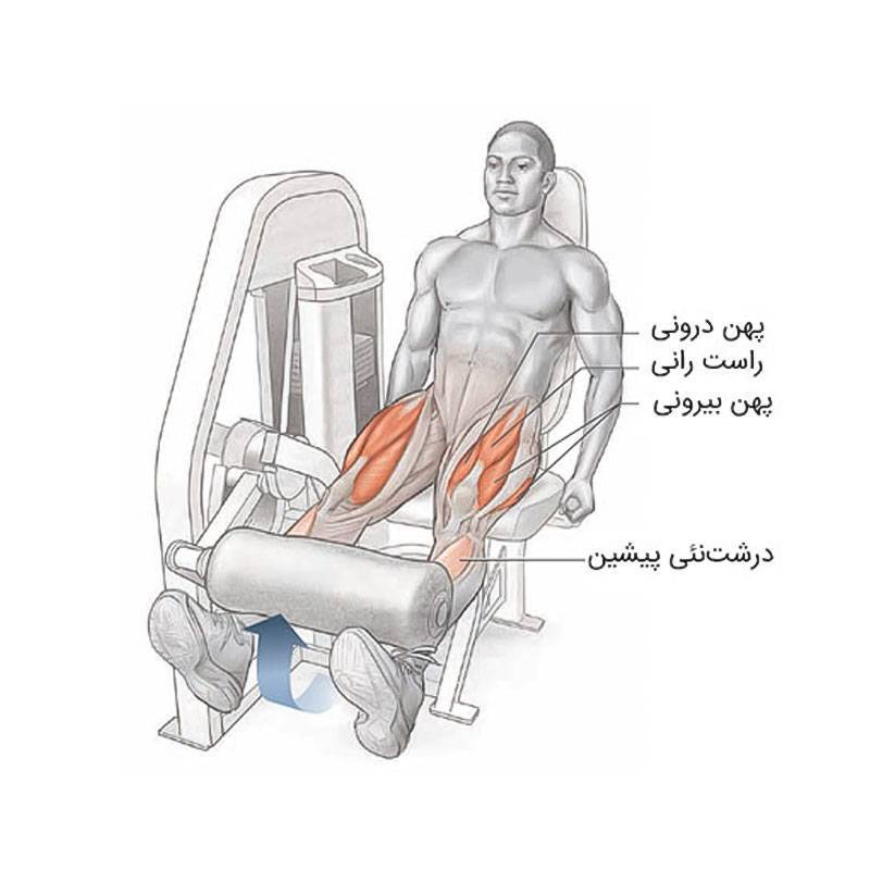 دستگاه جلو ران بادی سولید Body Solid SLE-200/G2 19 دستگاه جلو ران بادی سولید Body Solid SLE-200/G2 - تصویر 3