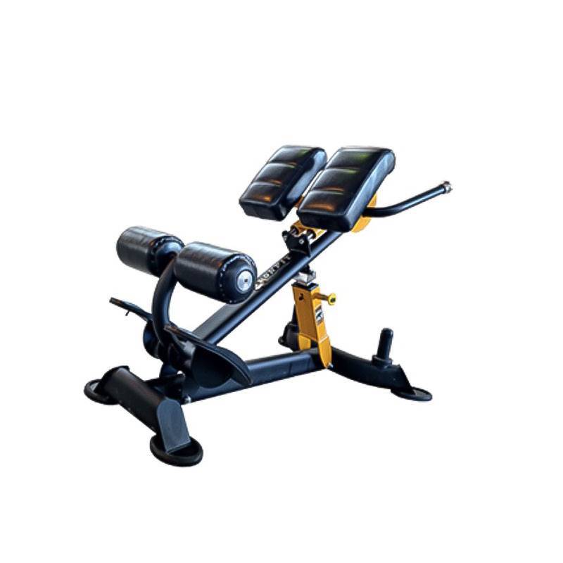 دستگاه بدنسازی باشگاهی فیله کمر مدرج آیرون فیت Iron fit FW-1430