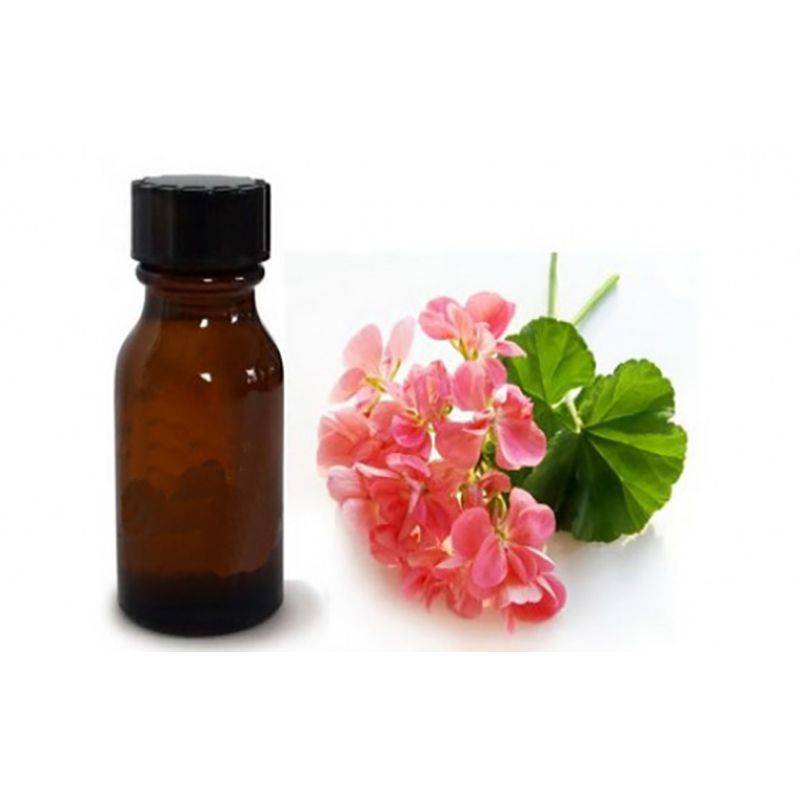 روغن ماساژ شمعدانی 22 روغن ماساژ شمعدانی - تصویر 3
