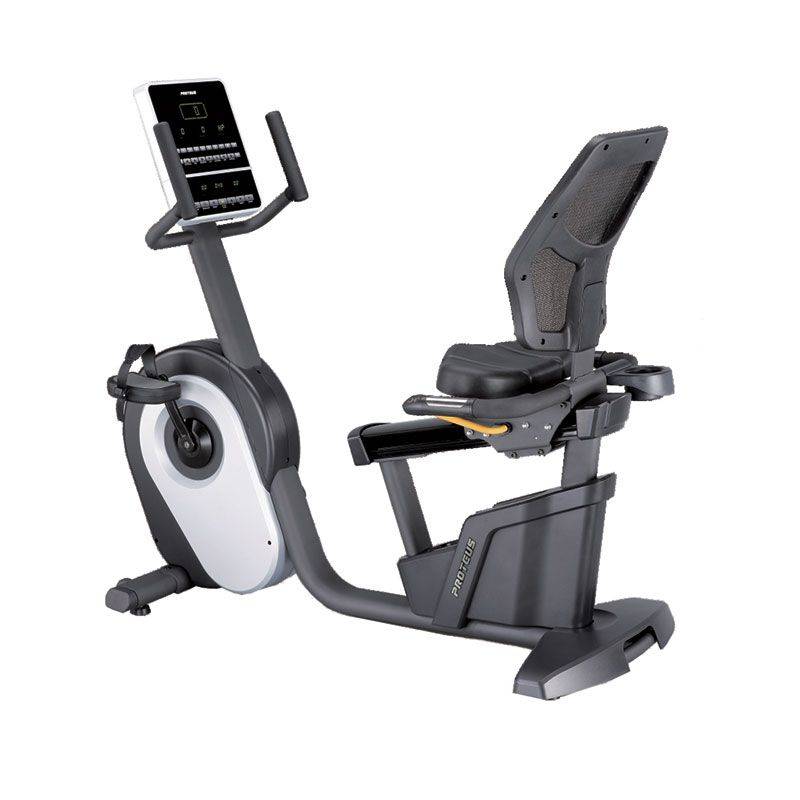 دوچرخه ثابت پشتی دار پروتئوس Proteus Pro Master R12