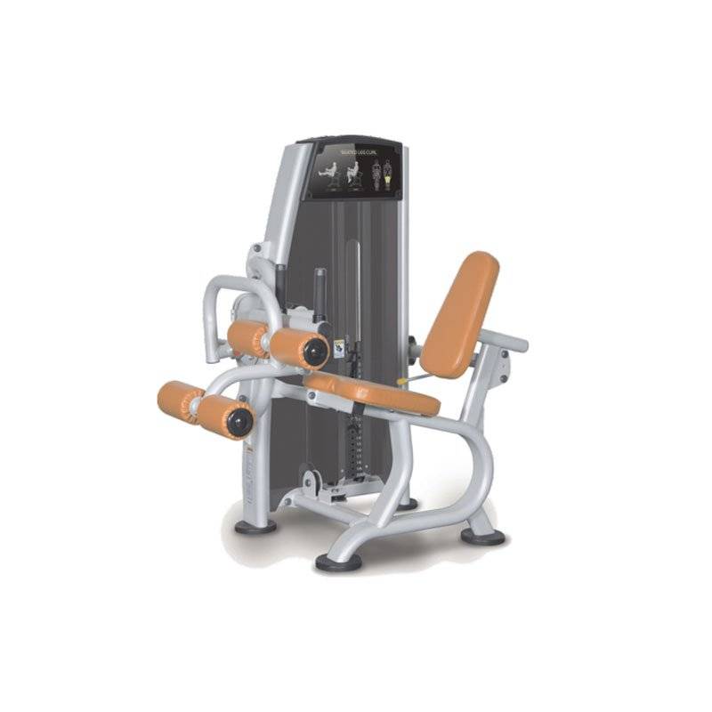 دستگاه پشت پا نشسته پروتئوس Proteus pros-301 19 دستگاه پشت پا نشسته پروتئوس Proteus pros-301
