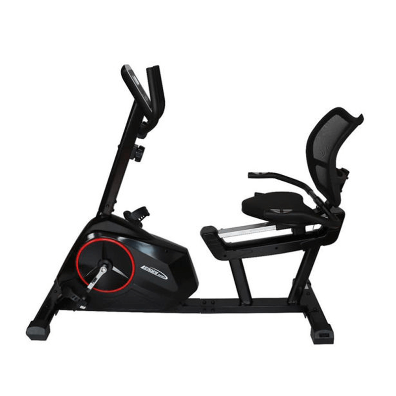 دوچرخه ثابت پشتی دار لیدر اسپرت Leader sport 601R