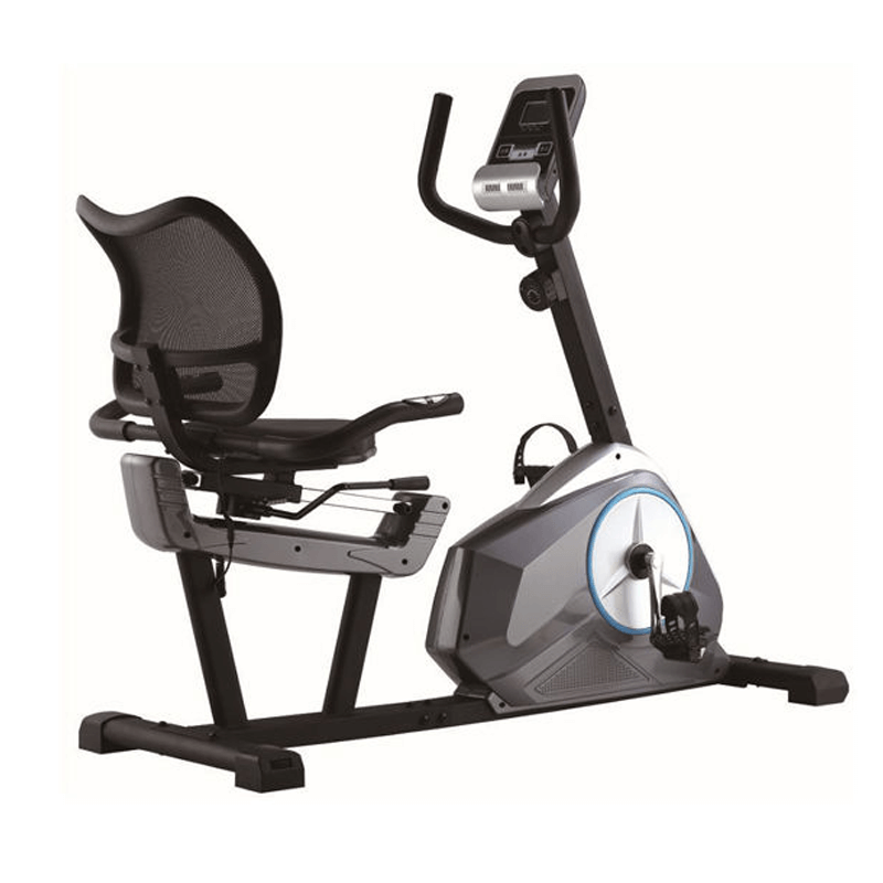 دوچرخه ثابت پشتی دار لیدر اسپرت Leader sport 601R