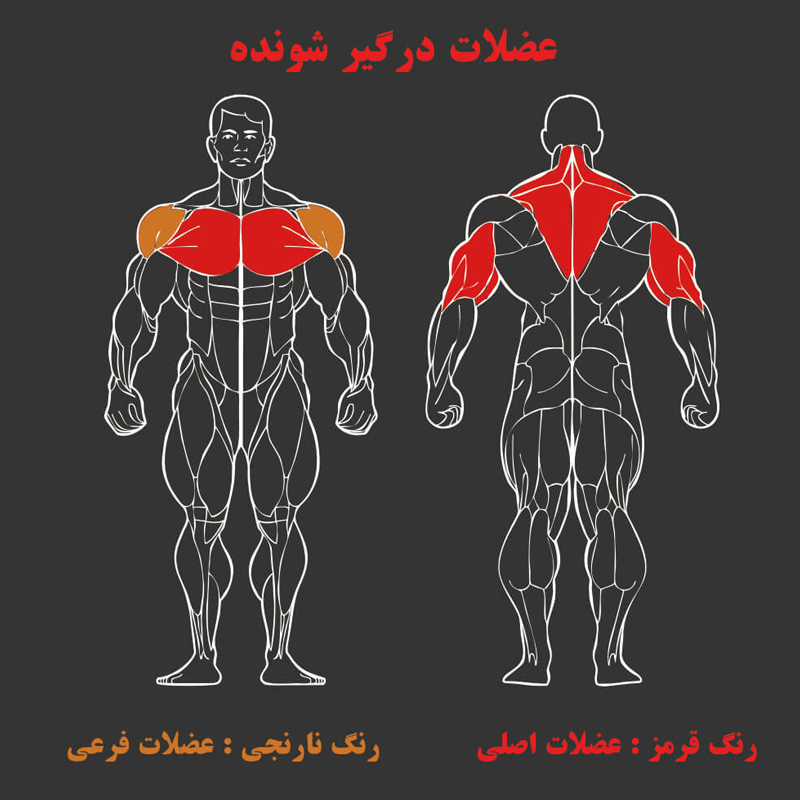 دستگاه بارفیکس کمکی MBH T8-008