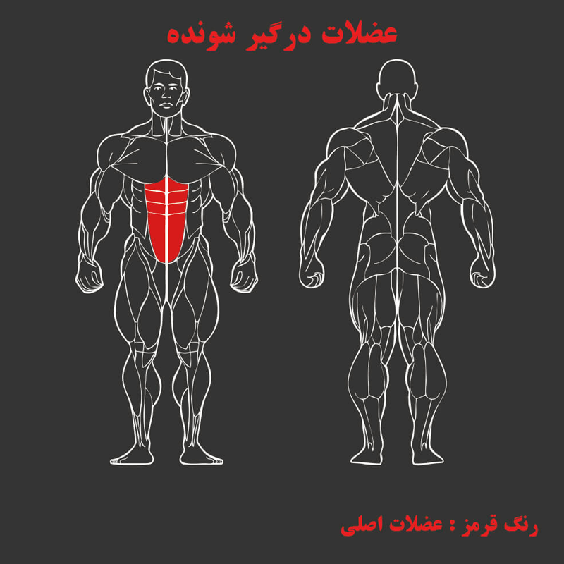 دستگاه بدنسازی کرانچ شکم MBH T8-010