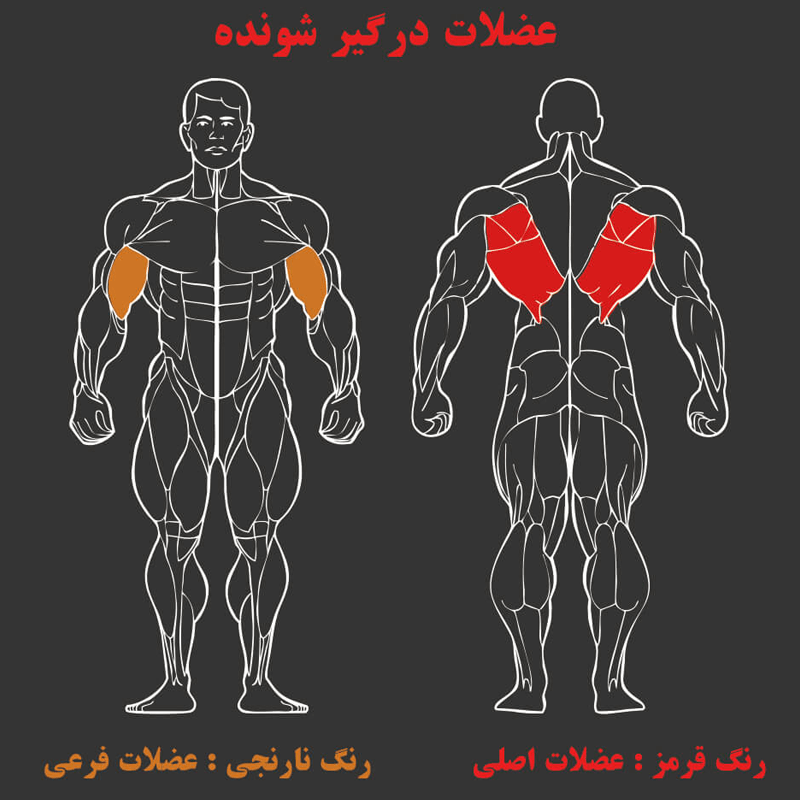 دستگاه بدنسازی زیر بغل لت MBH T8-012