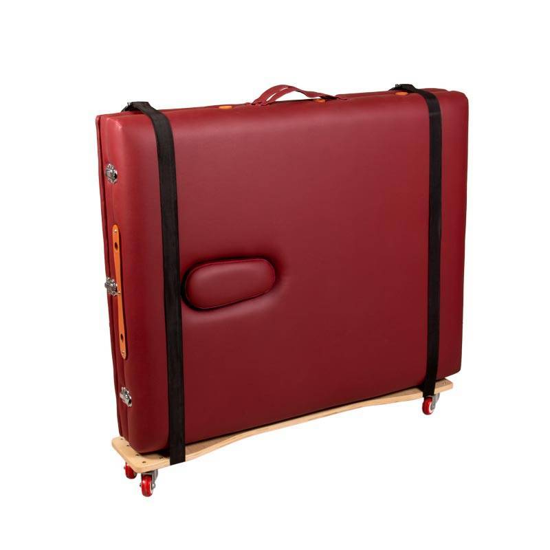 چرخ حمل تخت ماساژ پیلتن Piltan 25 چرخ حمل تخت ماساژ پیلتن Piltan - تصویر 4