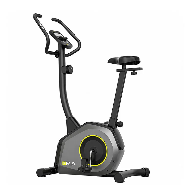 دوچرخه ثابت خانگی ایستاده پاژا PAJA YK-10S16B