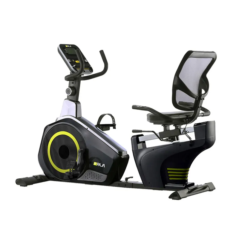 دوچرخه ثابت خانگی مبله پاژا PAJA YK-10M09R