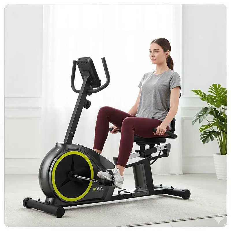 دوچرخه ثابت خانگی نشسته پاژا PAJA YK-10M23R